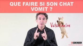 Que faire si son chat vomit [upl. by Wardlaw224]