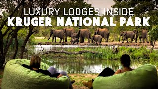 Luxury Lodges inside Kruger National Park South Africa [upl. by Thornie]