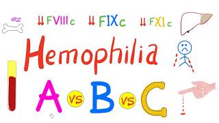 Hemophilia A vs Hemophilia B  Genetics Symptoms and Treatment [upl. by Lieno379]