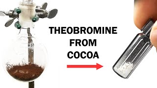 Extracting the theobromine from cocoa powder [upl. by Segal]