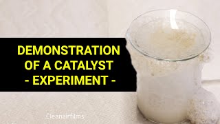 Demonstration of a Simple Catalyst  Experiment [upl. by Wiebmer95]