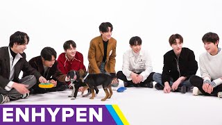 ENHYPEN The Puppy Interview [upl. by Philo997]