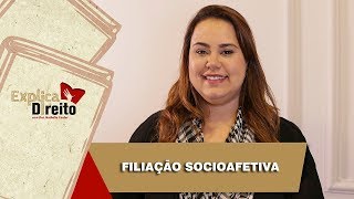 Explica Direito Filiação Socioafetiva  2019 [upl. by Papke999]