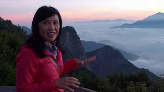 Taiwan Taking the Alishan mountain railway to see the lake of clouds  BBC Travel Show [upl. by Zendah]