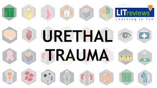 Urethral Trauma [upl. by Hayifas735]