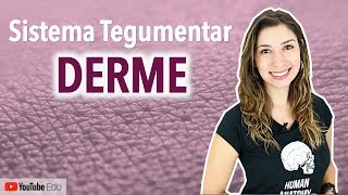 Derme Sistema Tegumentar 34  Anatomia etc [upl. by Ailev]