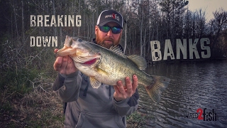 Tested Bank Fishing Tips for Catching Bass [upl. by Latsyc]