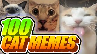 I Voiceovered 100 Cat Memes [upl. by Oicaro]