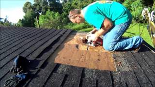 Repairing Leaking Shingle Roof [upl. by Stock]