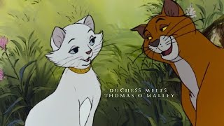 Duchess meets Thomas O´Malley  Aristocats HD [upl. by Asille]