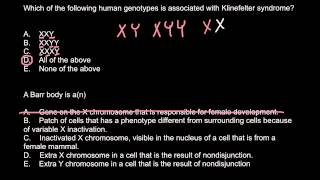 Klinefelter syndrome and Barr body explained [upl. by Alleyne]