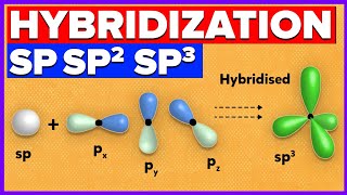 Hybridization of Atomic Orbitals  SP SP2 SP3 Hybridization of Carbon [upl. by Maurilla]