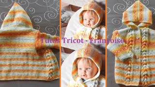 Tuto Tricot Veste à capuche 03 mois  69 mois  1012 mois  Capuche amp dos amp devants en 1 pièce [upl. by Aissac784]