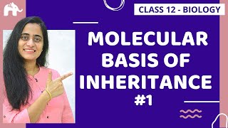 Molecular Basis of Inheritance Class 12 NCERT Chapter 6  CBSE NEET [upl. by Davison]