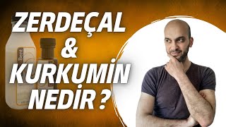 ZERDEÇAL VE KURKUMİN NEDİR  Kullanımı hakkında yapılan yanlışlar [upl. by Ykciv828]