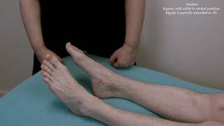 Muscle Testing  Extensor hallucis longus [upl. by Soule]