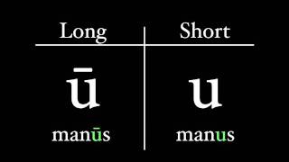 The Latin Alphabet  Vowel Pronunciation [upl. by Wing307]