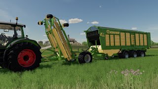 FS22  Lizard Trailed Windrower [upl. by Lenno52]