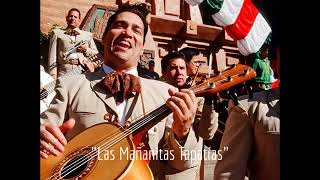 Las Mañanitas con Mariachi  En Tu Día y Felicidades [upl. by Snehpets]