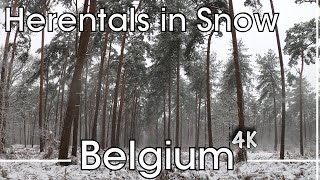 Rare Footage Snow in Herentals Belgium 4K [upl. by Brindle]