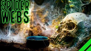 TOP 10 Heaviest Webbing Tarantulas BIG Spiders BIGGER Webs [upl. by Korrie]