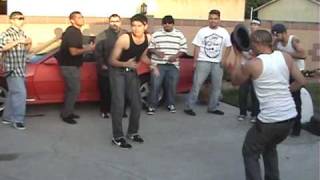 Cholos Bailando Cumbia Parody [upl. by Ful]