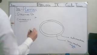 Biology Lecture 9 Grade 9 [upl. by Notsirb]