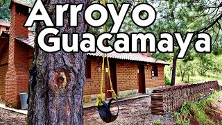 ECOTURISMO ARROYO GUACAMAYA PARTE 1  Viajero Oaxaqueño  Oaxaca [upl. by Notluf]