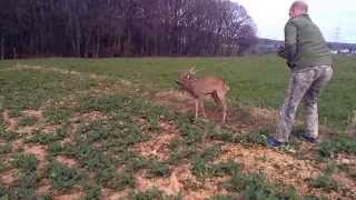 Rehbockrettung  Jäger hilft Wild in der Not [upl. by Wina]