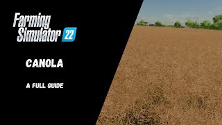 FS22  Canola A Full Guide  Farming Simulator 22 [upl. by Erbes]