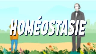 Homéostasie [upl. by Ailak99]