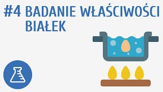 Badanie właściwości białek 4  Biologiczne związki organiczne [upl. by Lowe]