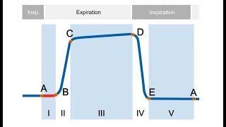 elearning Basics of Capnography [upl. by Ayocat]