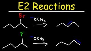 E2 Reaction Mechanism  Hoffman Elimination vs Zaitsevs Rule [upl. by Marlie]