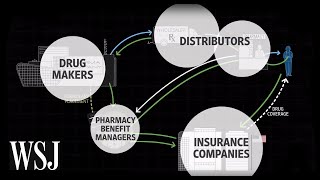 How Drug Prices Work  WSJ [upl. by Trebma731]