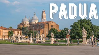 Padua Italy 🇮🇹  Summer 2022  Virtual Walking Tour City  4K 60FPS  ASMR [upl. by Lokkin562]