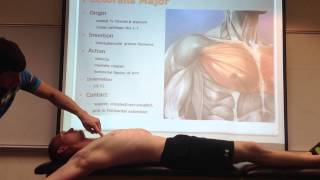 Elbow Palpation  Clinical Physio Premium [upl. by Werd]