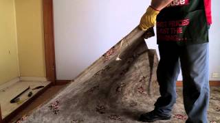 How To Remove Carpet  DIY At Bunnings [upl. by Ellecrag]