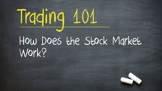 Trading 101 How Does the Stock Market Work [upl. by Zilber37]