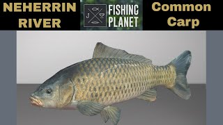 Fishing Planet Neherrin River Common Carp [upl. by Reviere311]