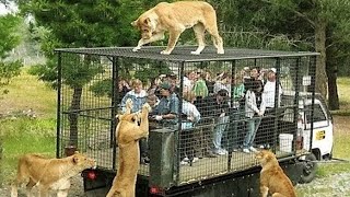 10 MOST STUNNING ZOOS IN THE WORLD [upl. by Ettevram441]