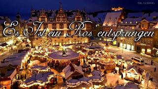 Es ist ein Ros entsprungen German Christmas songEnglish translation [upl. by Bille]