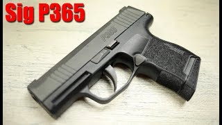 The Truth About The Sig P365 1000 Round Review [upl. by Marmaduke]