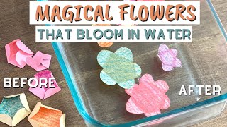 Magic Blooming Paper Flowers  Fun STEM Activity For Kids [upl. by Anuayek]