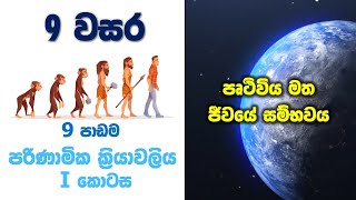 Grade 9 Science in Sinhala  Unit 9 Evolution Part 01  පරිණාමික ක්‍රියාවලිය 1 කොටස [upl. by Naujaj26]