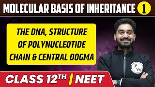 Molecular Basis Of Inheritance 01  The DNA Structure of Polynucleotide Chain  Class 12thNEET [upl. by Hulbard]