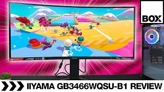 iiyama GMaster GB3466WQSUB1 Red Eagle 144Hz Curved Gaming Monitor Review [upl. by Ocisnarf189]