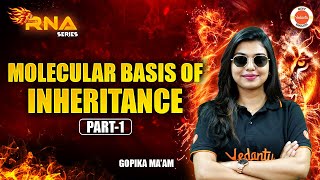 Molecular Basis of Inheritance Part 1 Class 12  NEET 2025 BIOLOGY  GOPIKA MAAM [upl. by Ramonda144]