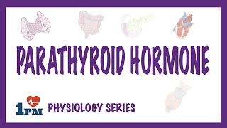 Parathyroid Hormone PTH  Endocrinology [upl. by Odnanreh]