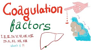 Factor VIII and Hemophilia A [upl. by Nadirehs]